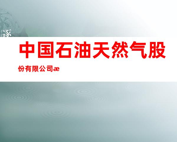 中国石油天然气股份有限公司新疆乌鲁木齐销售分公司乌奇路加油站
