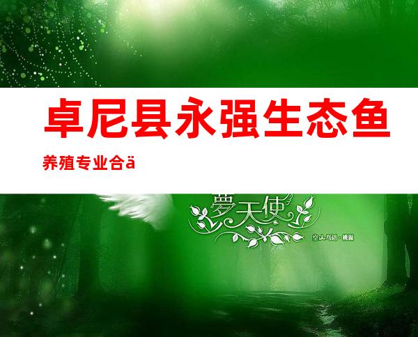 卓尼县永强生态鱼养殖专业合作社