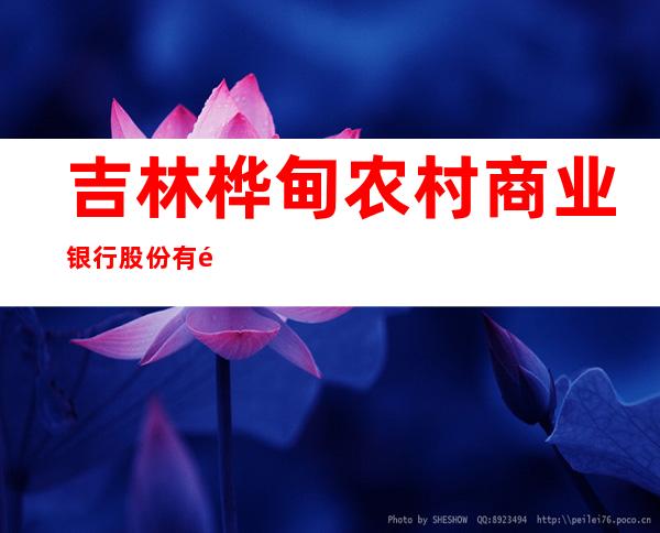 吉林桦甸农村商业银行股份有限公司兴华支行